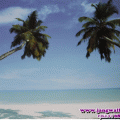 Ҿ-Թҵ-